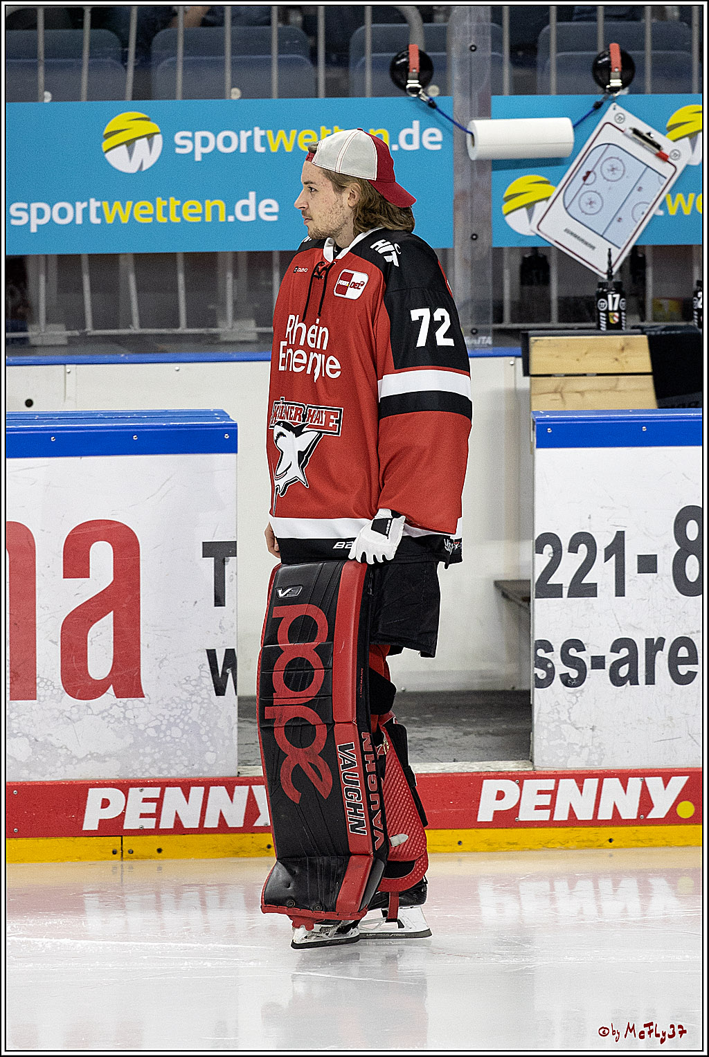 PENNY DEL;  Koelner Haie - Nuernberg Ice Tigers; Koeln, 03.12.2021